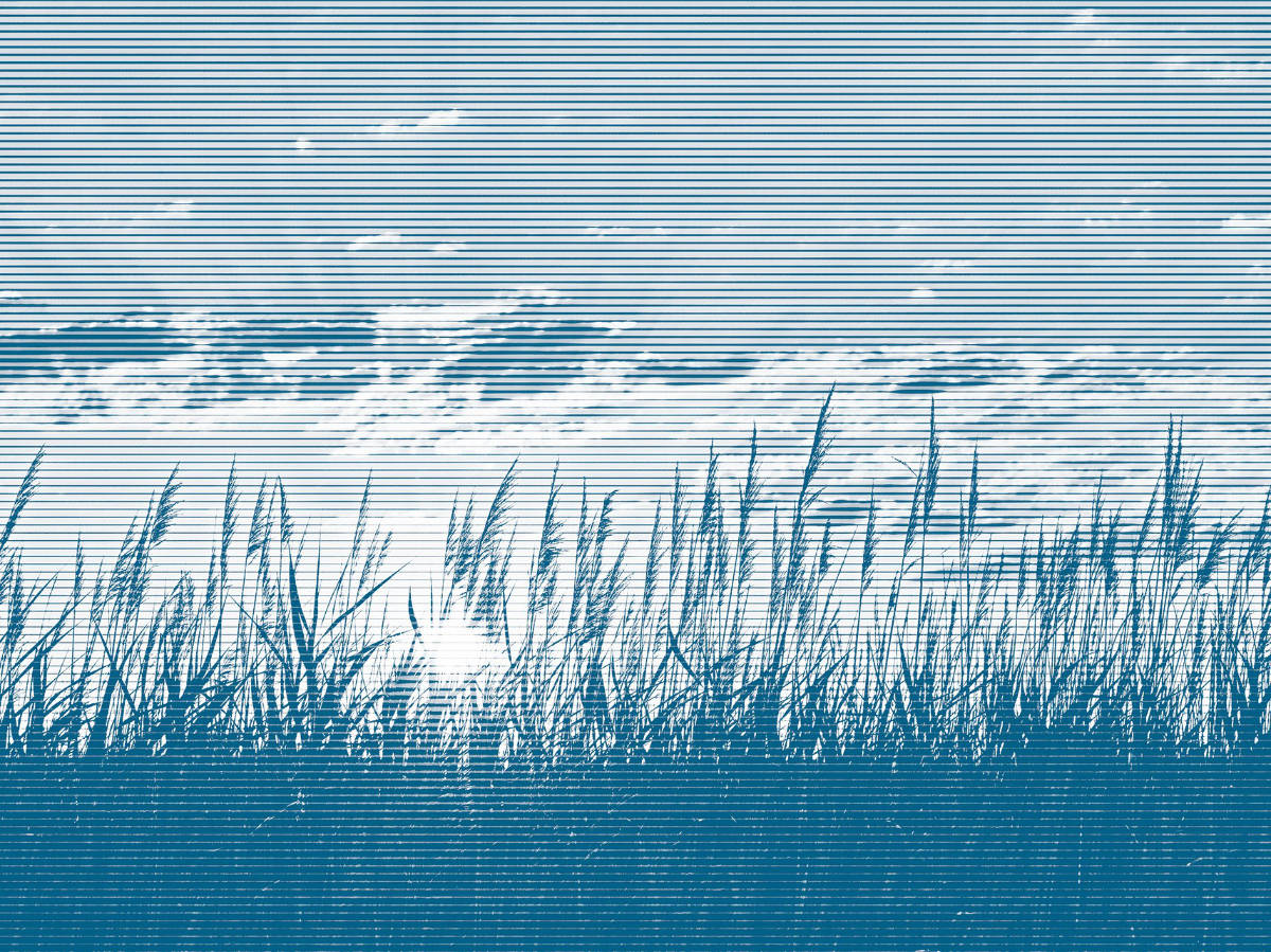 Stilisiertes Schilf am Neusiedler See